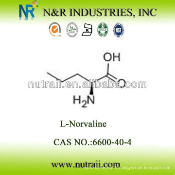 Fournisseur d&#39;acides aminés fiables L-Norvaline N ° CAS: 6600-40-4